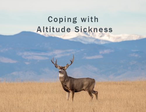 Hunting in the High-Country: Altitude Sickness