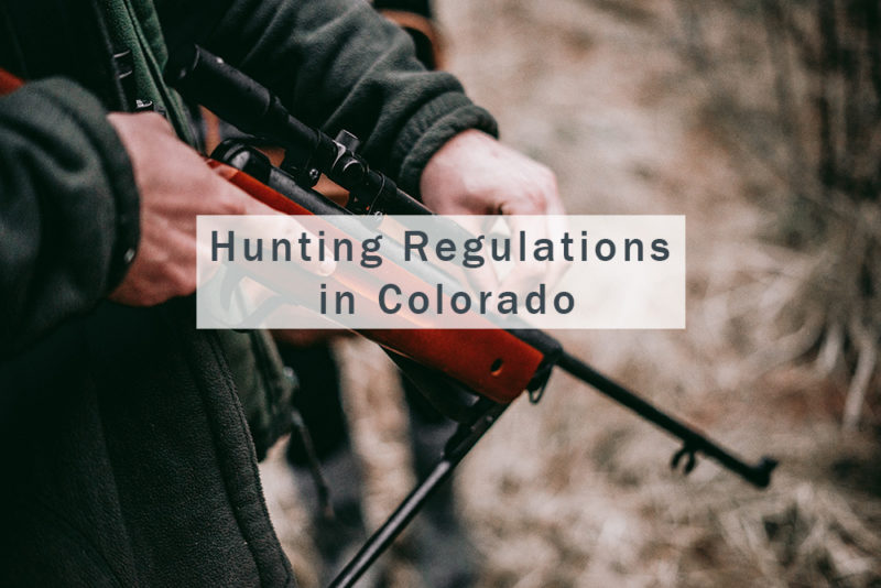Hunting Regulations in Colorado — What You Need to Know tips from