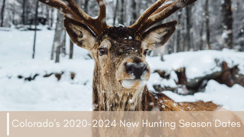 Colorado S 2020 2024 New Hunting Season Dates Soap Mesa Outfitters   Colorados 2020 2024 New Hunting Season Dates 800x450 