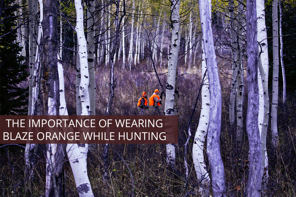 The Importance of Wearing Blaze Orange While Hunting