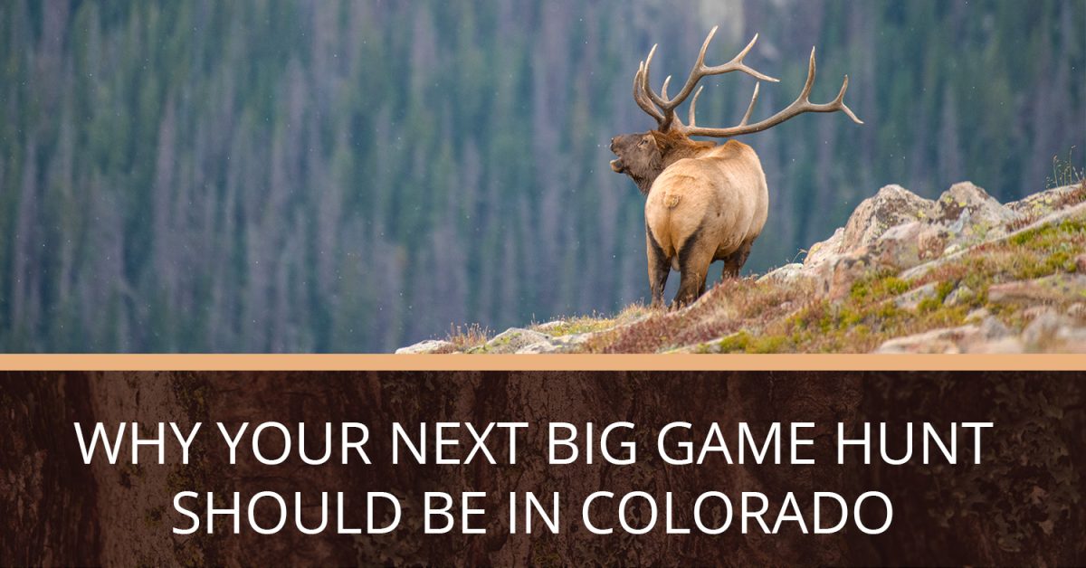 Why Your Next Big Game Hunt Should Be in Colorado Soap Mesa Outfitters